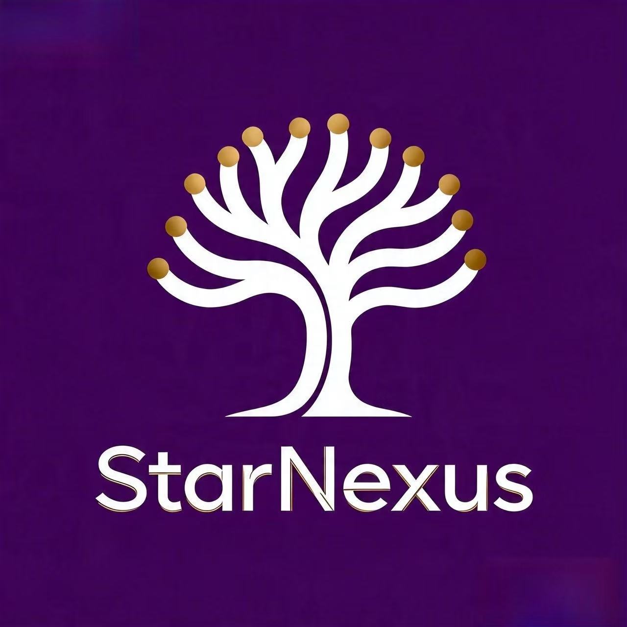 StarNexus Logo