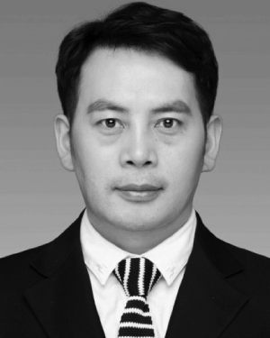 Junyi Xin